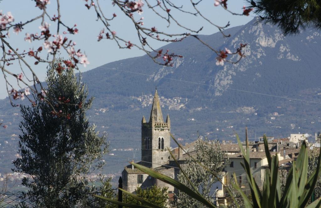 Le Storie Di Bambu Guest House Terni Exterior photo