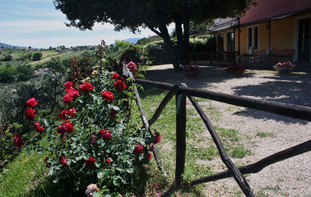 Le Storie Di Bambu Guest House Terni Exterior photo