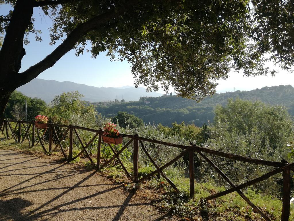 Le Storie Di Bambu Guest House Terni Exterior photo